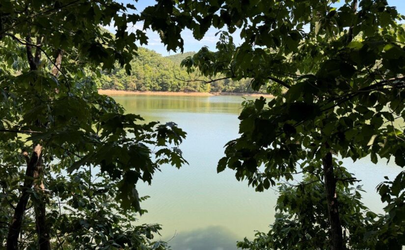 Absolute Auction: Leesville Lake Waterfront Lot